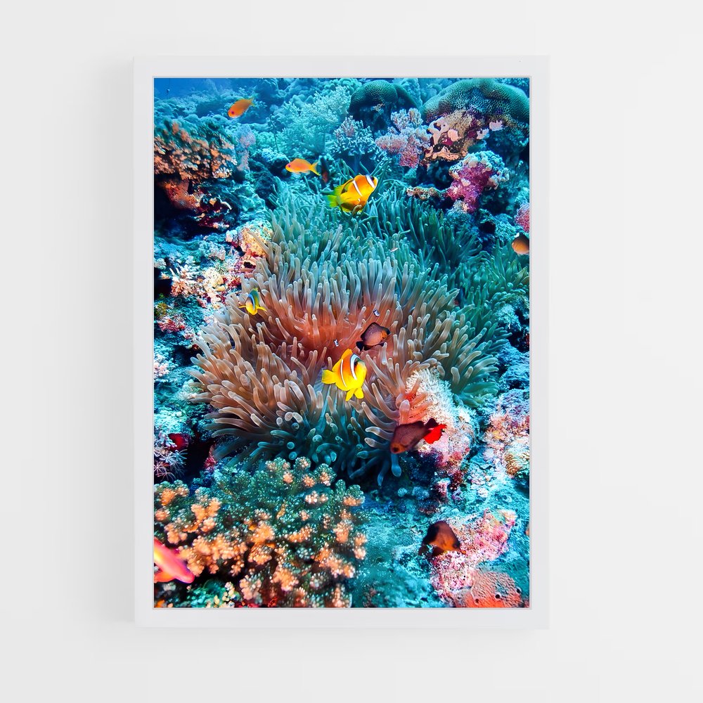 Poster Clown Paradise – affiche Plongée sous-marine (vue 3)